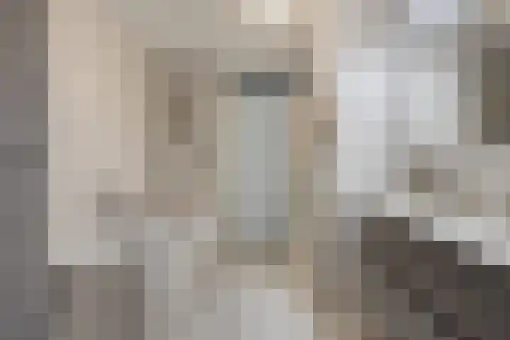 Judas Taddeusplein 24 Eindhoven thumbnail 19