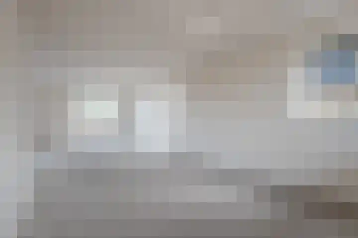 Judaspenning 5 Lelystad thumbnail 13