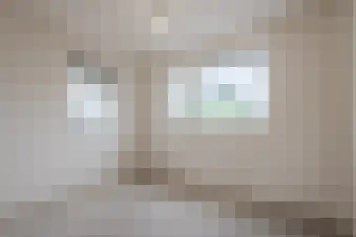 Judaspenning 5 Lelystad thumbnail 24