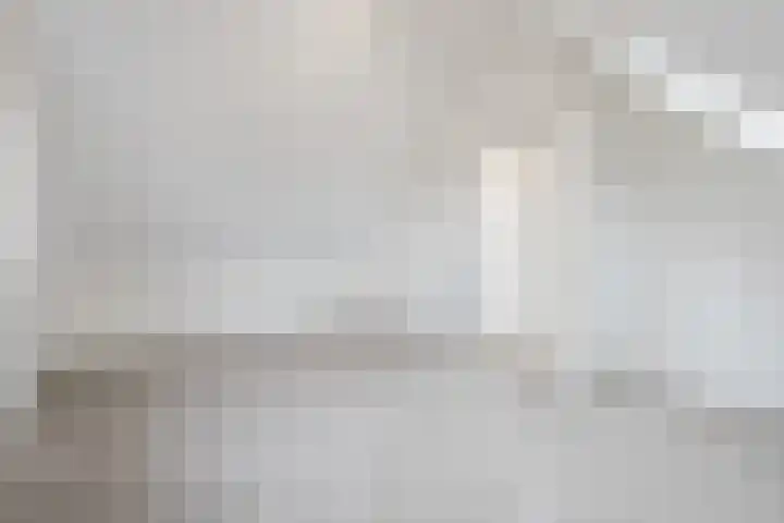 Judaspenning 5 Lelystad thumbnail 34