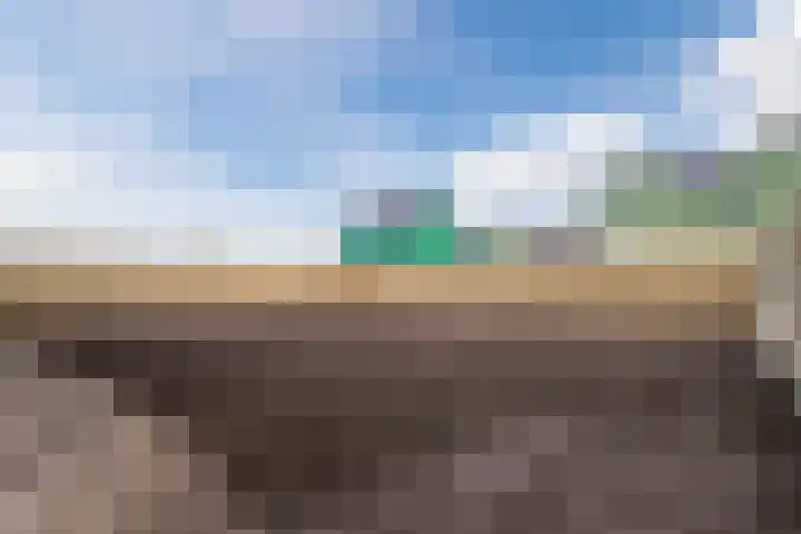 Judaspenning 5 Lelystad thumbnail 37