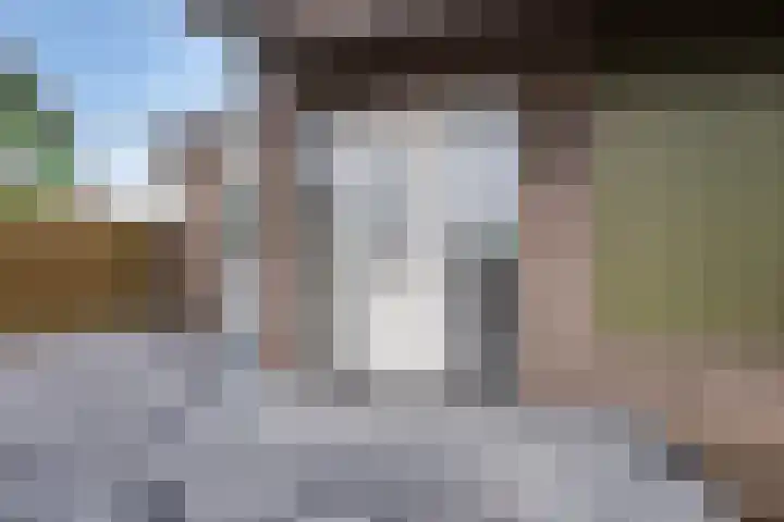 Judaspenning 5 Lelystad thumbnail 4
