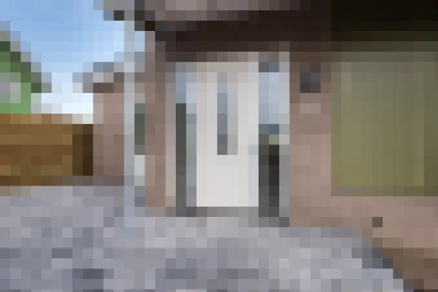 Judaspenning 5 Lelystad thumbnail 4