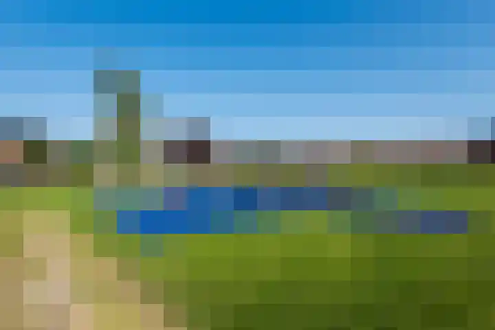 Judaspenning 5 Lelystad thumbnail 41