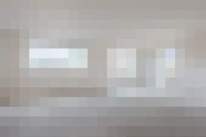 Judaspenning 5 Lelystad thumbnail 8