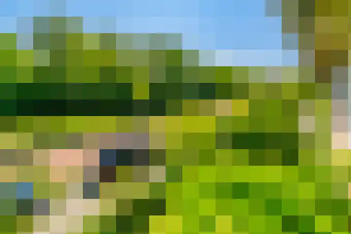 Judith Leijsterweg 53 Amstelveen thumbnail 32