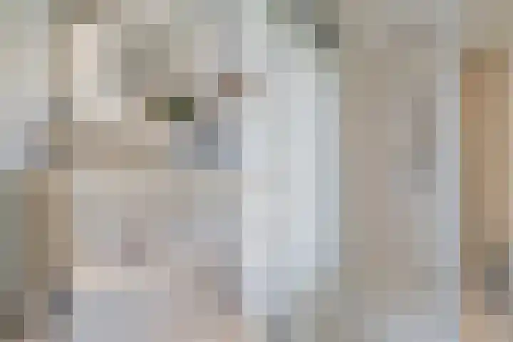 Judith Leijsterweg 53 Amstelveen thumbnail 38