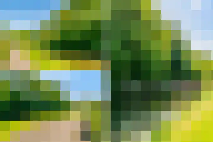 Judith Leijsterweg 53 Amstelveen thumbnail 41