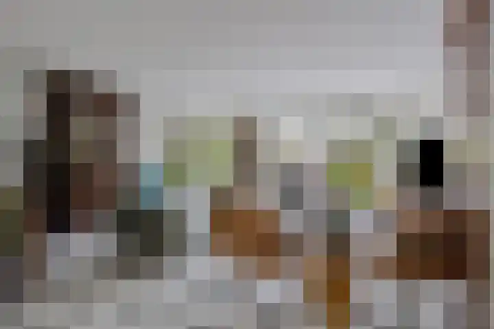 Judith Leysterlaan 41 Pijnacker foto 3