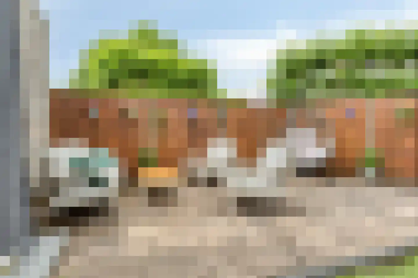 Judith Leysterplein 44 Rijen thumbnail 8