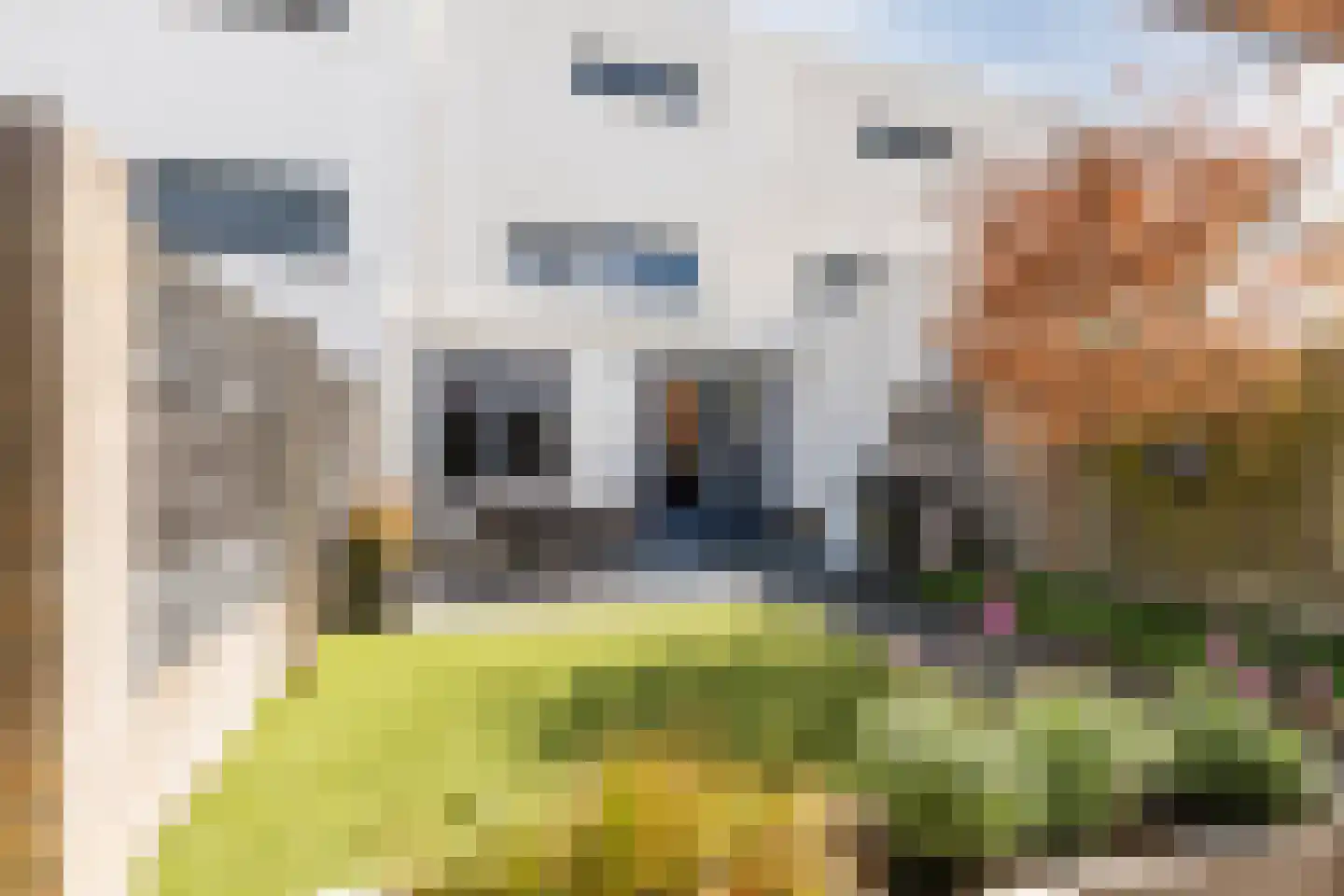 Judith Leysterplein 51 Rijen thumbnail 27