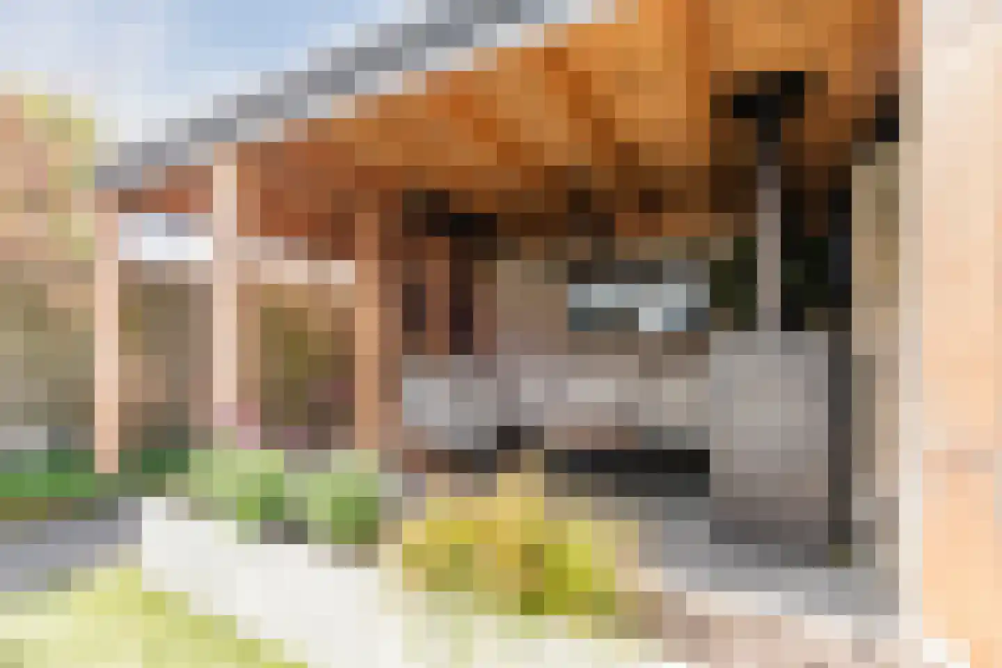 Judith Leysterplein 51 Rijen thumbnail 32