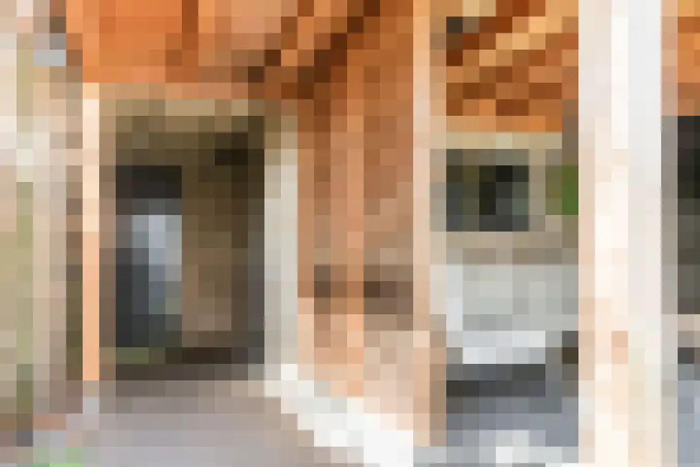 Judith Leysterplein 51 Rijen thumbnail 35