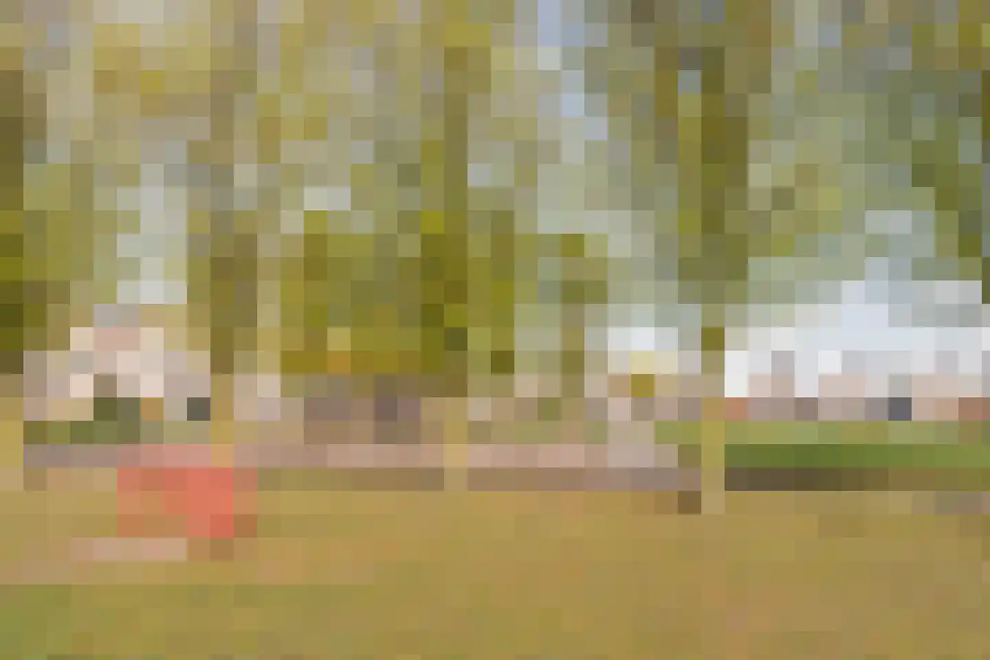 Judith Leysterplein 51 Rijen thumbnail 59