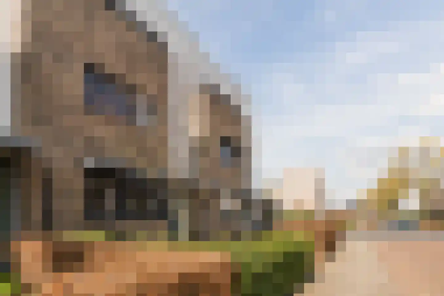 Judith Leysterplein 51 Rijen thumbnail 8