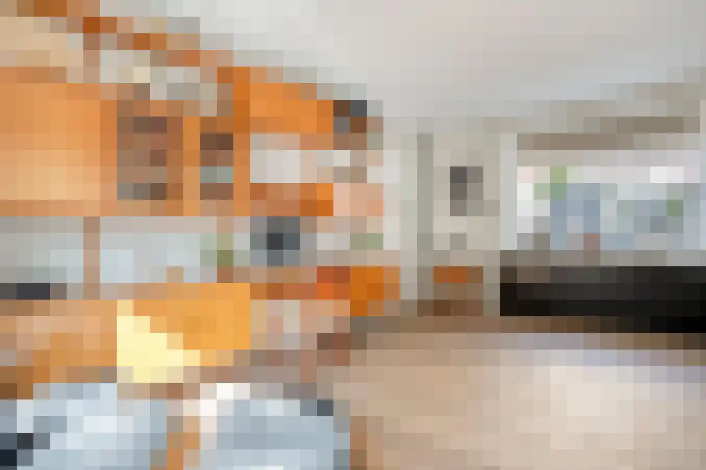 Judith van Marlelaan 15 Dedemsvaart thumbnail 11