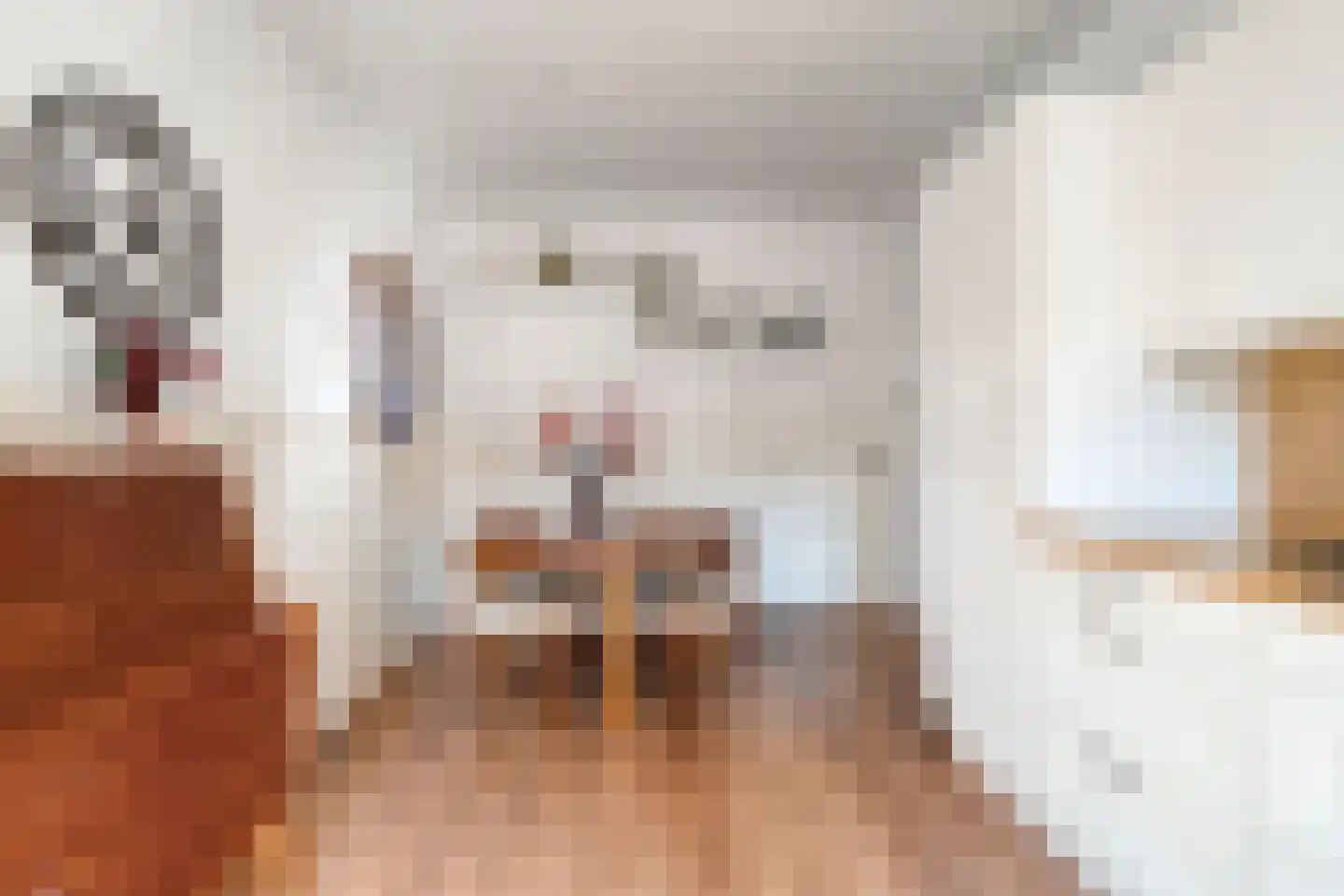Judith van Marlelaan 15 Dedemsvaart thumbnail 15