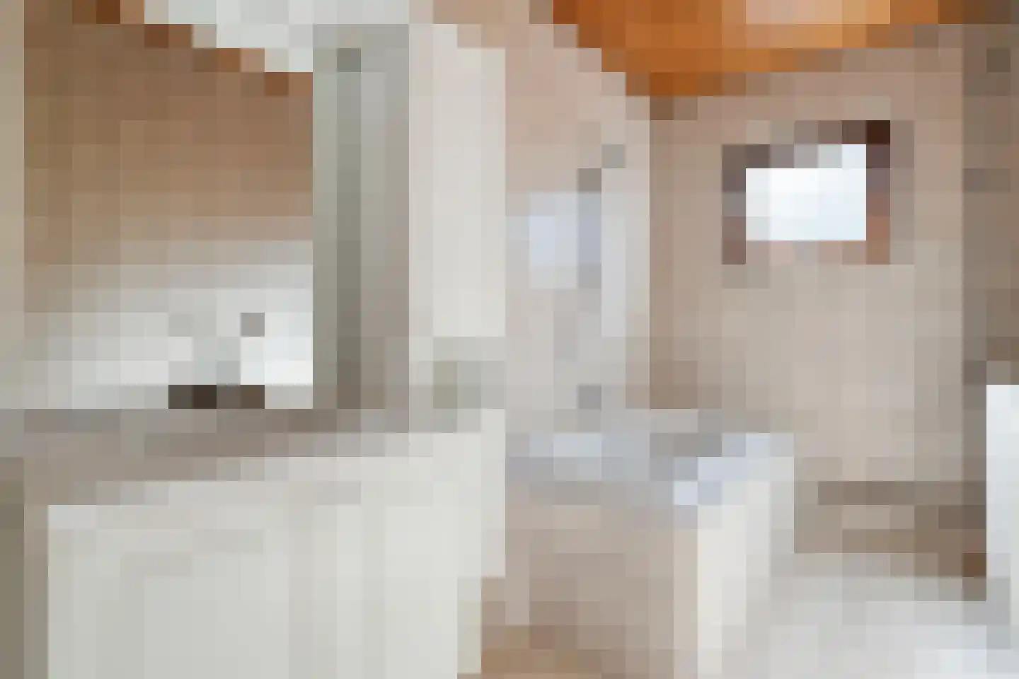 Judith van Marlelaan 15 Dedemsvaart thumbnail 20