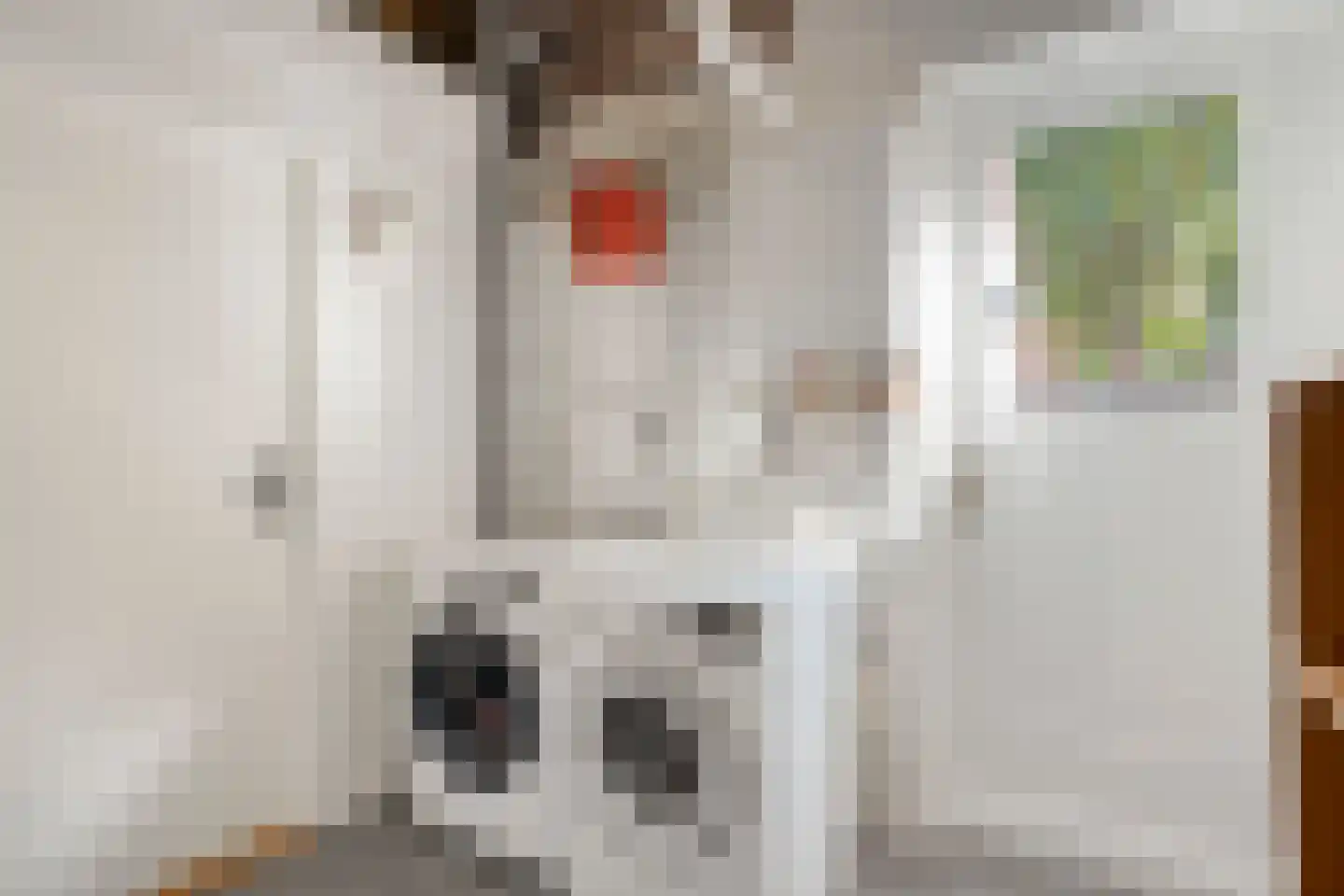Judith van Marlelaan 15 Dedemsvaart thumbnail 25