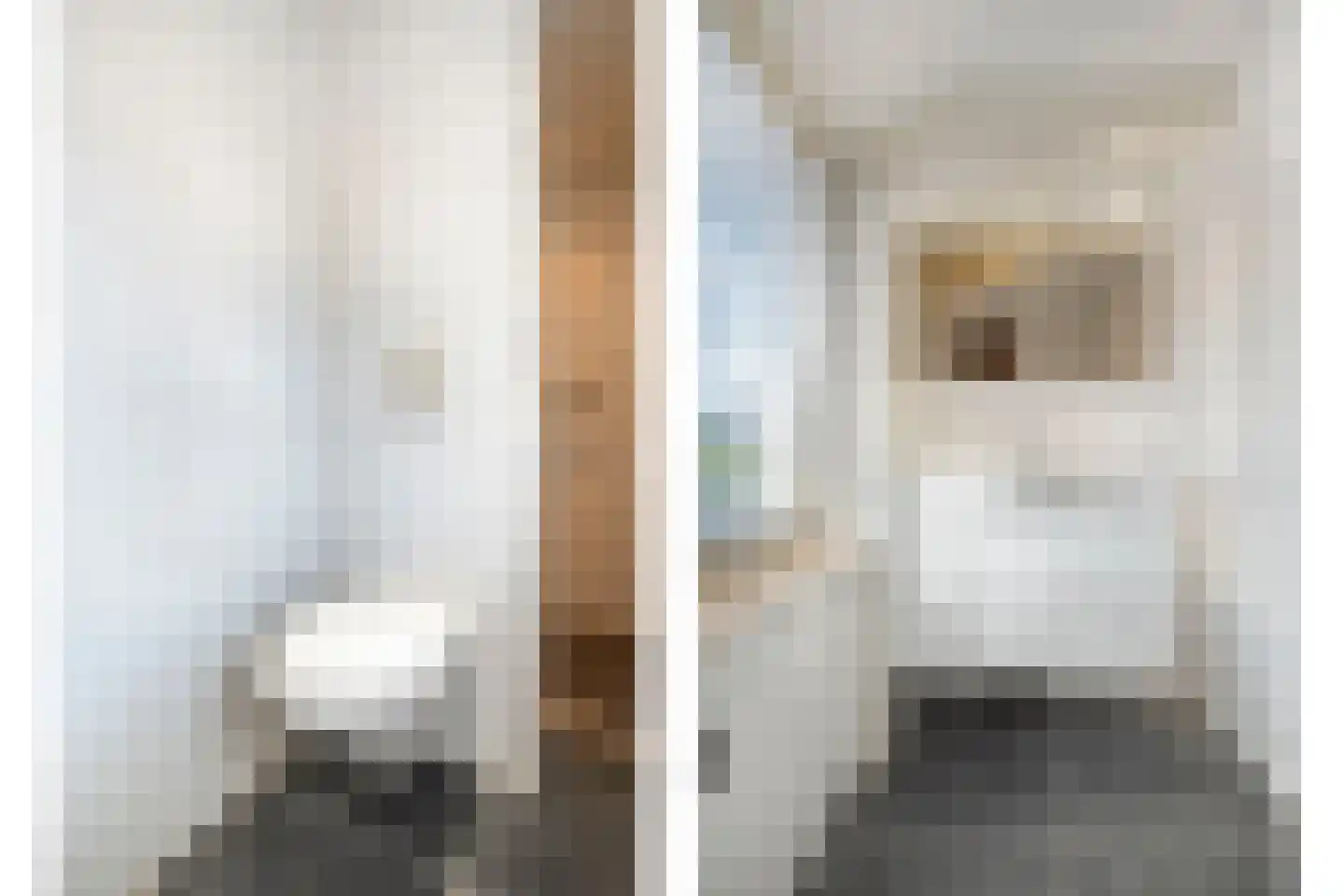 Judith van Marlelaan 15 Dedemsvaart thumbnail 31