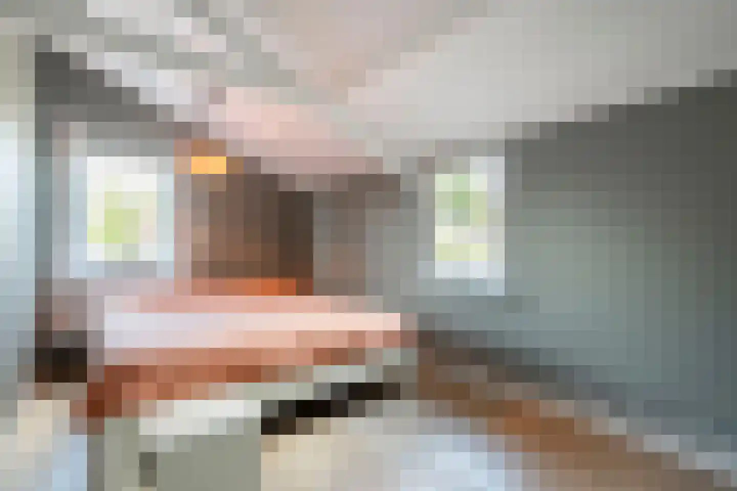 Judith van Marlelaan 15 Dedemsvaart thumbnail 39