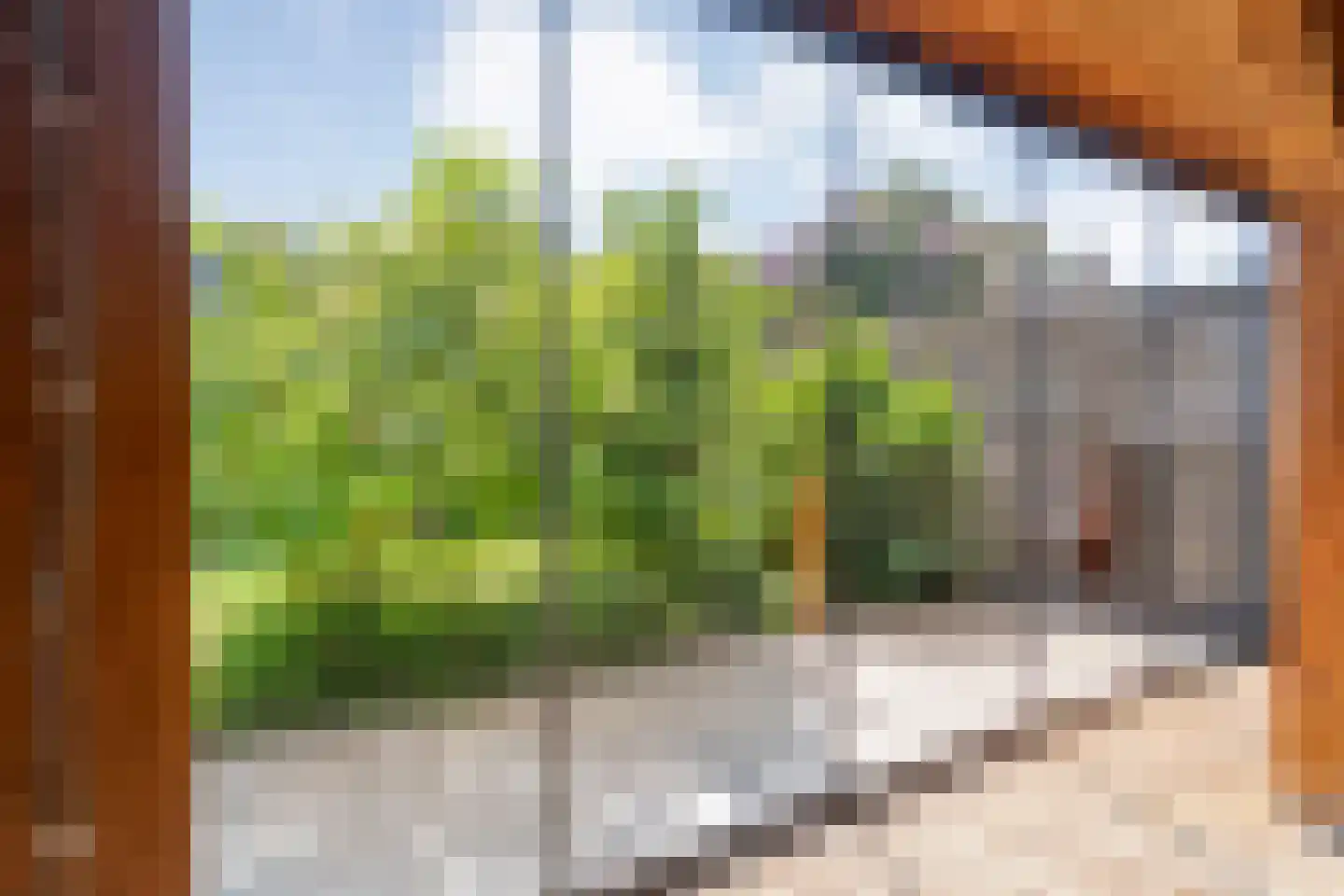 Judith van Marlelaan 15 Dedemsvaart thumbnail 53