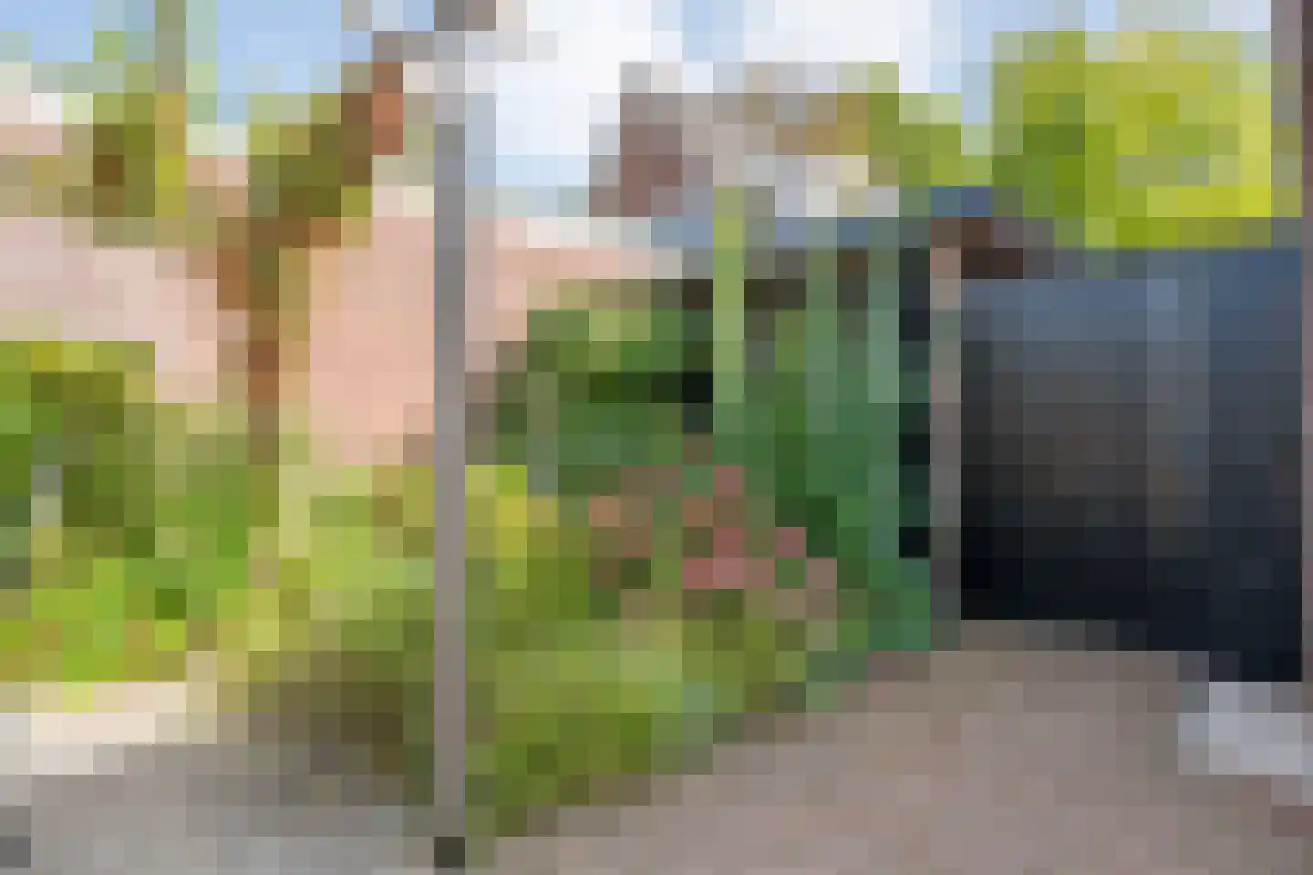 Judith van Marlelaan 15 Dedemsvaart thumbnail 57