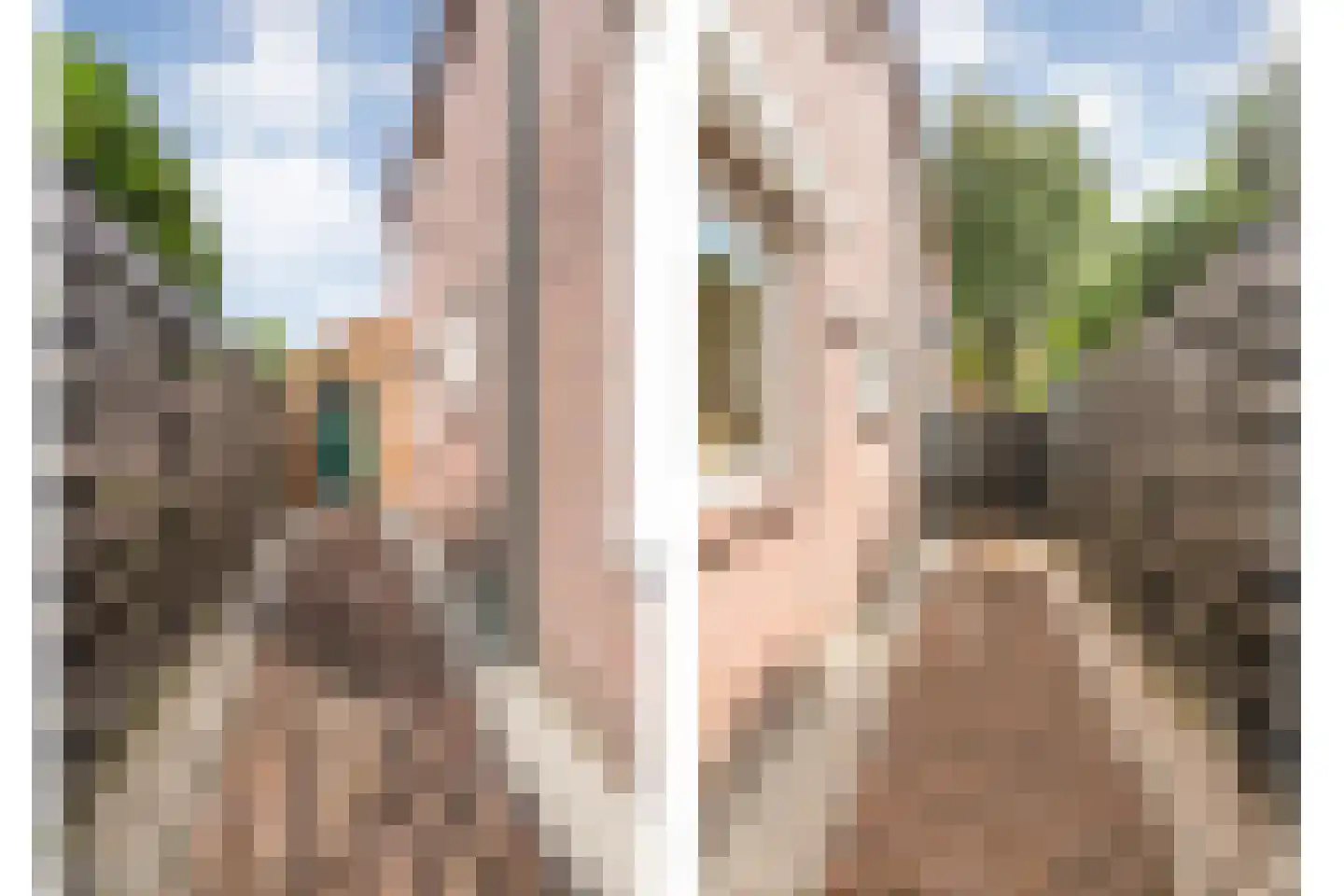 Judith van Marlelaan 15 Dedemsvaart thumbnail 58