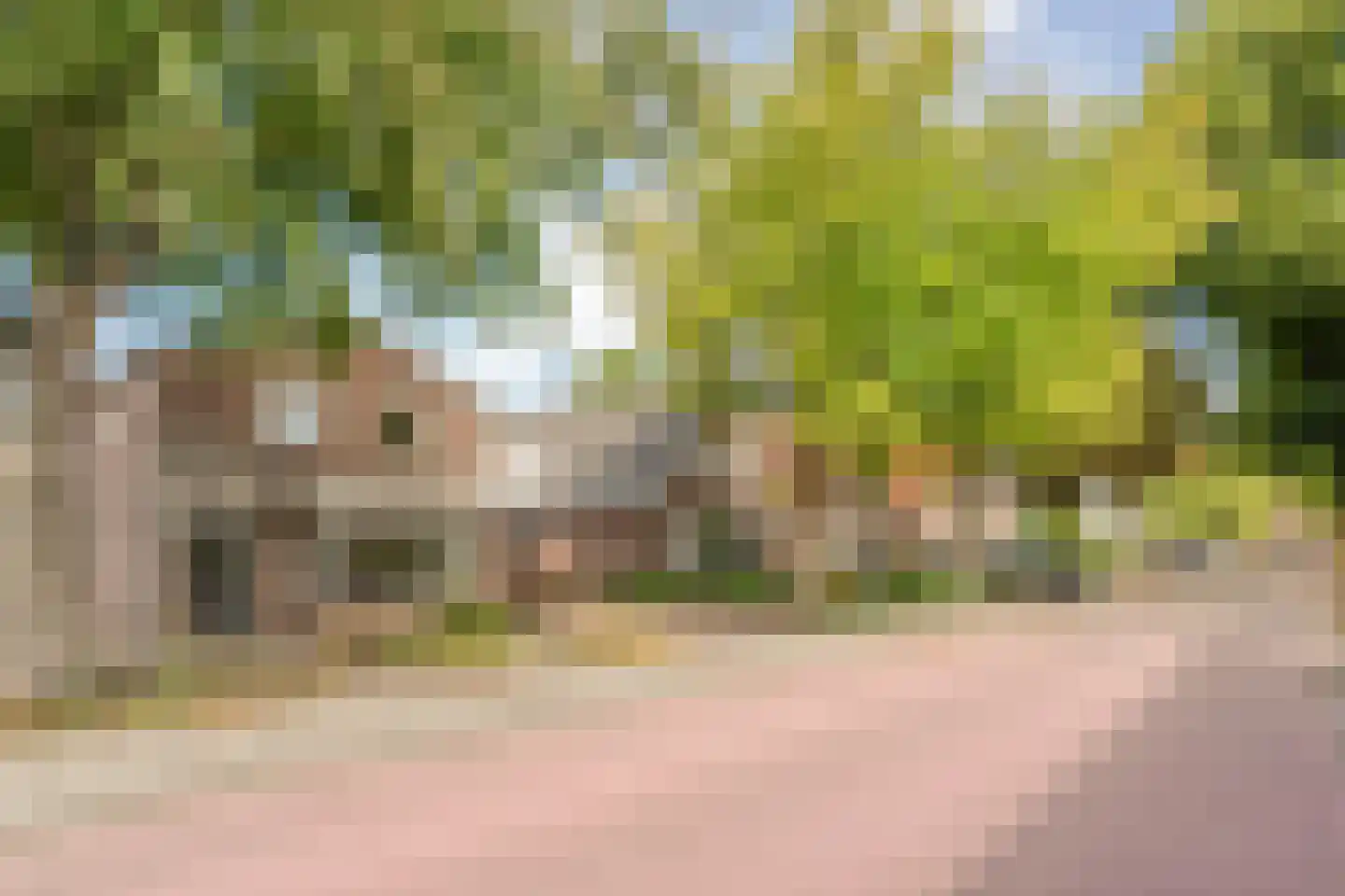 Judith van Marlelaan 15 Dedemsvaart thumbnail 69