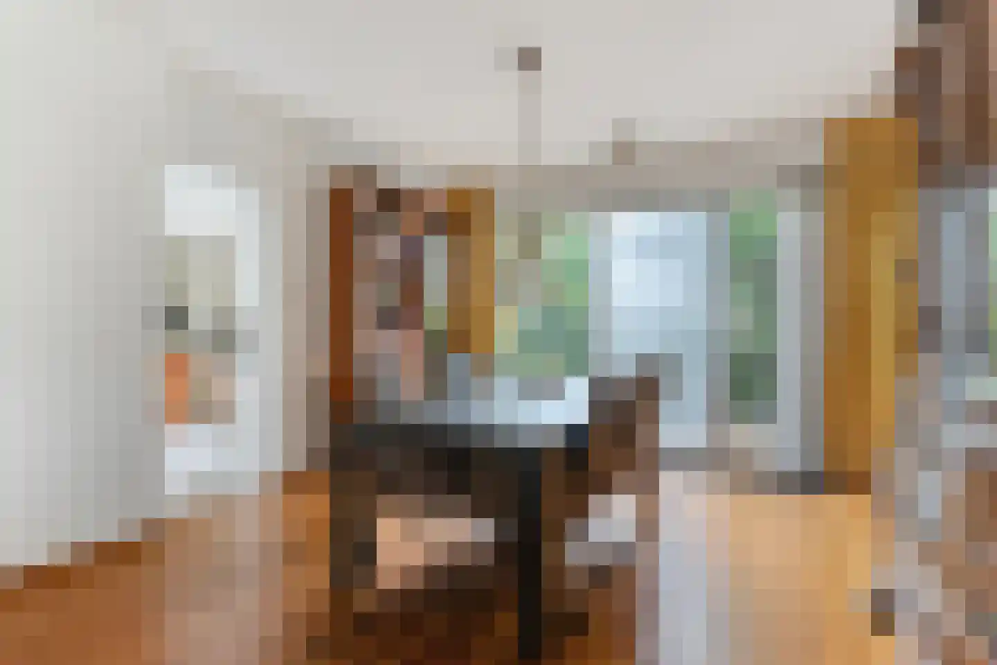 Judith van Marlelaan 20 Dedemsvaart thumbnail 18