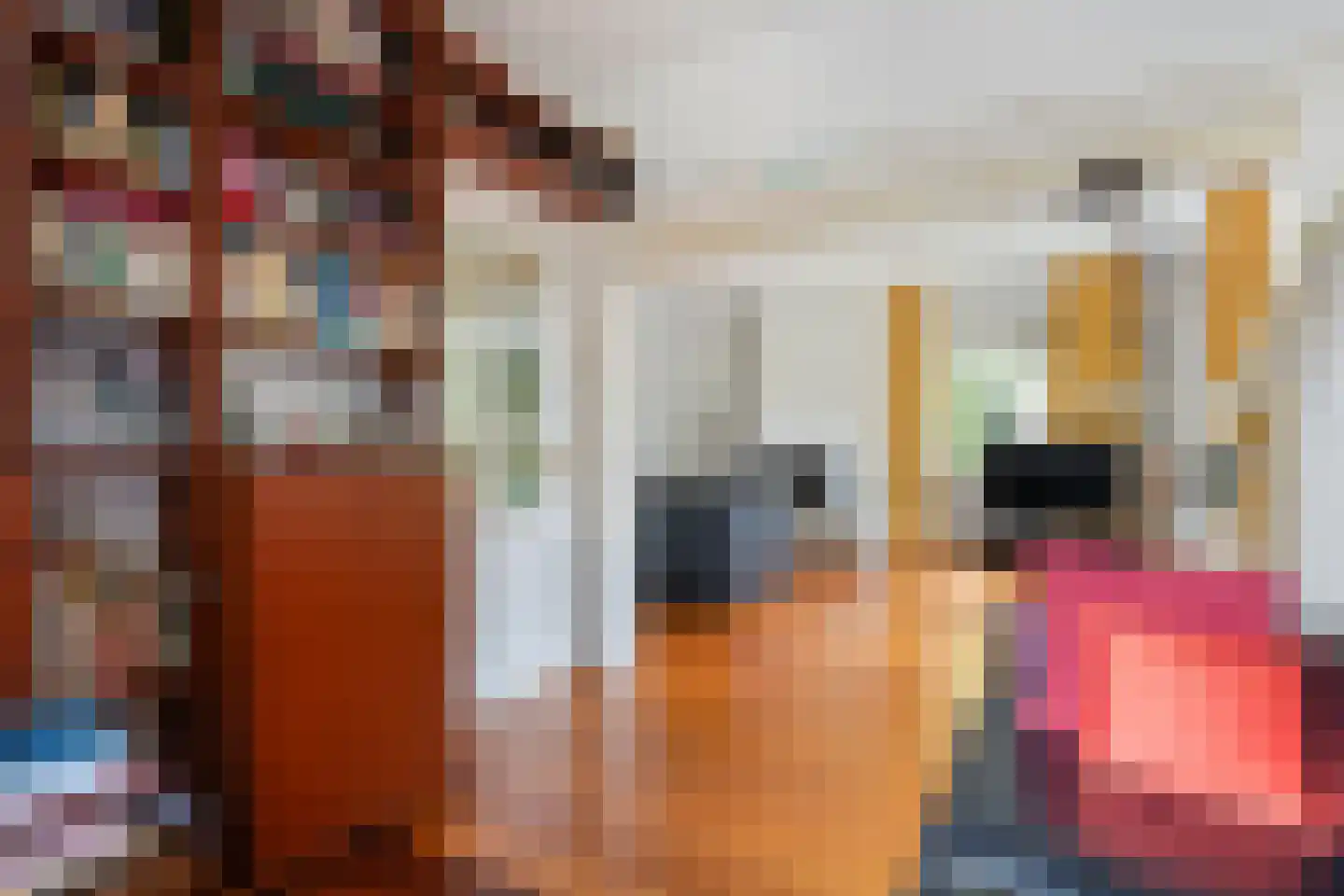 Judith van Marlelaan 20 Dedemsvaart thumbnail 20