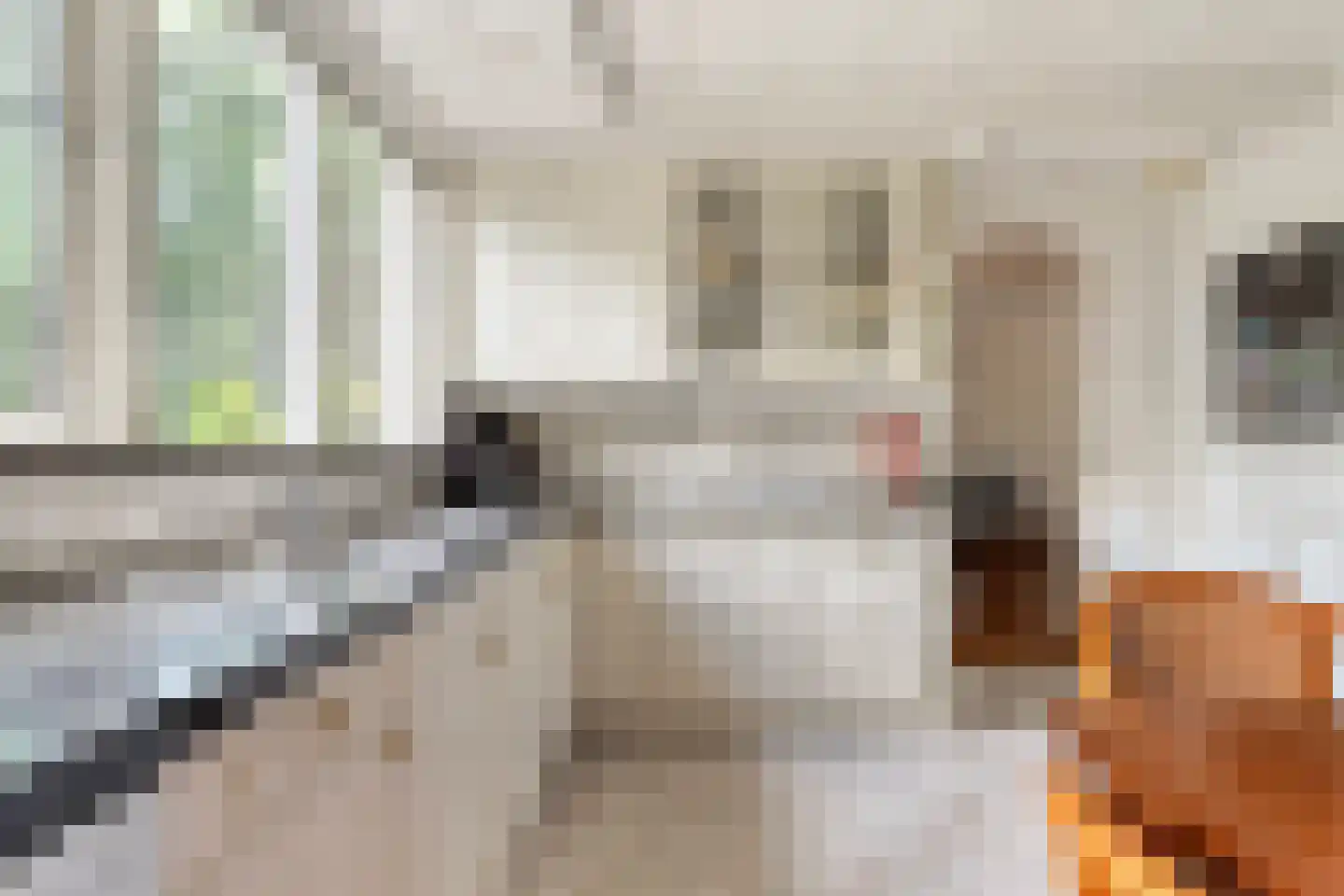 Judith van Marlelaan 20 Dedemsvaart thumbnail 23