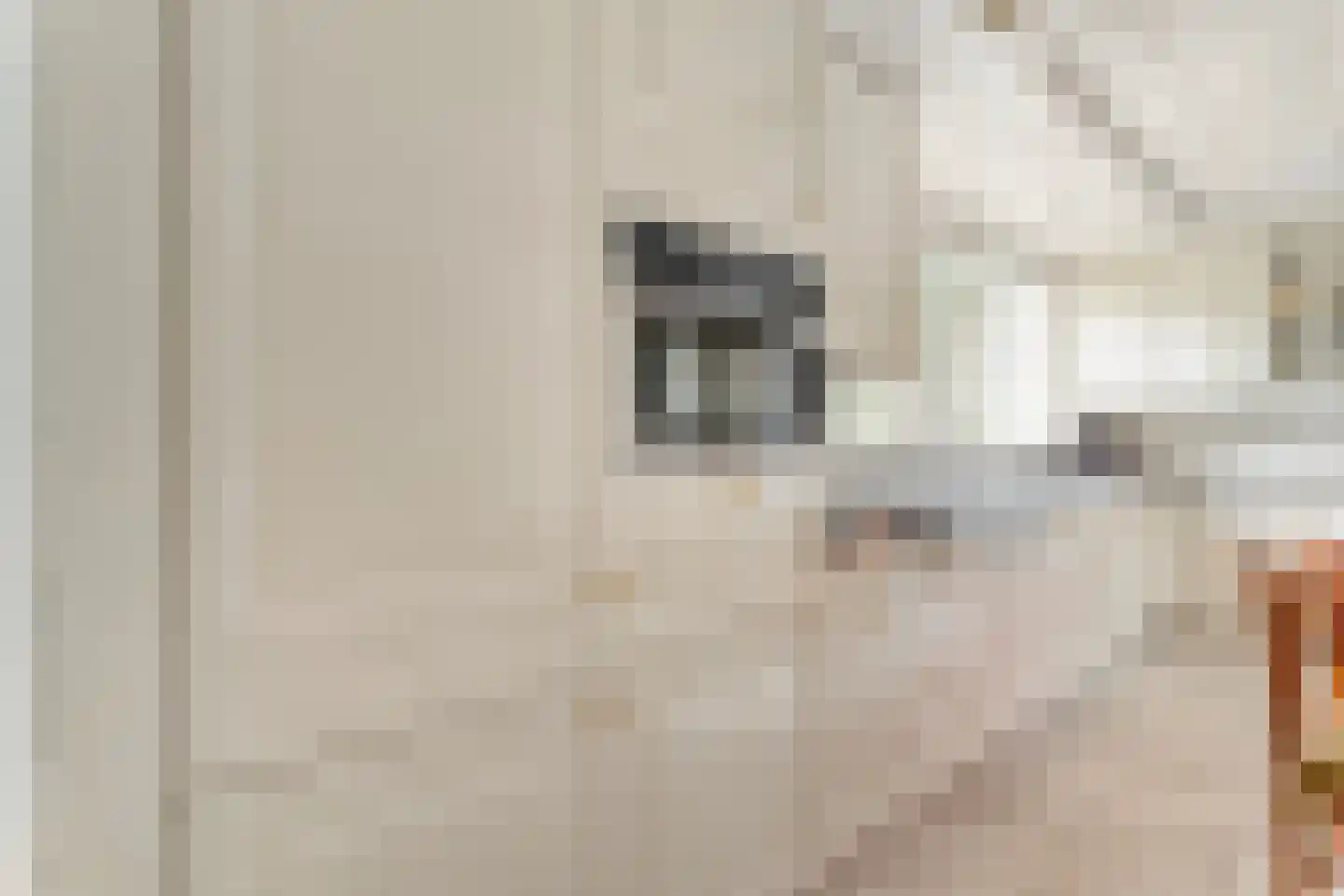 Judith van Marlelaan 20 Dedemsvaart thumbnail 25