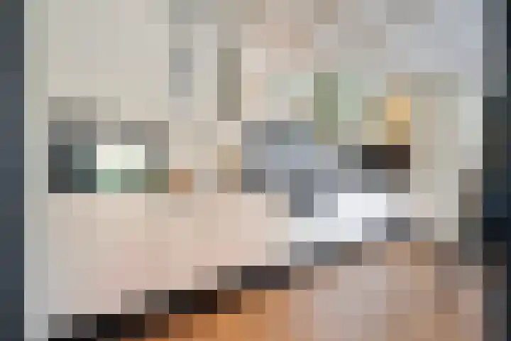 Judith van Marlelaan 21 Dedemsvaart thumbnail 10