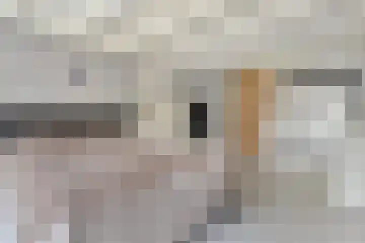 Judith van Marlelaan 21 Dedemsvaart thumbnail 15