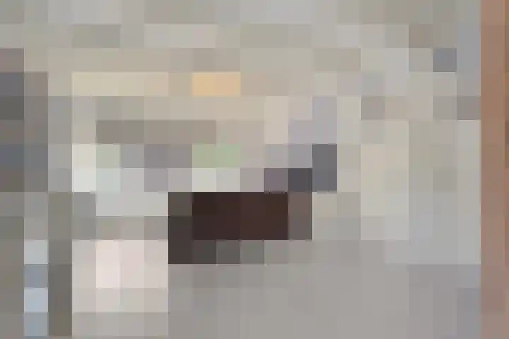 Judith van Marlelaan 21 Dedemsvaart thumbnail 16