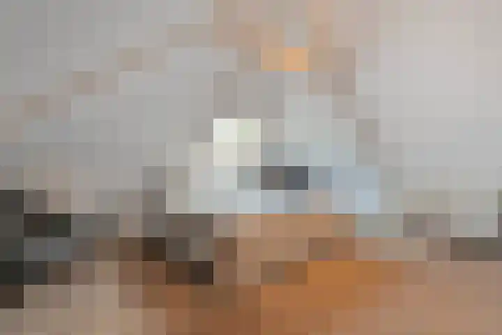 Judith van Marlelaan 21 Dedemsvaart thumbnail 21