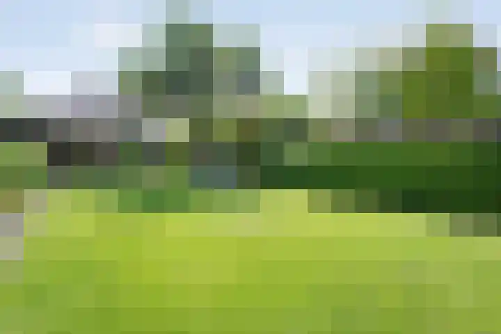 Judith van Marlelaan 21 Dedemsvaart thumbnail 24
