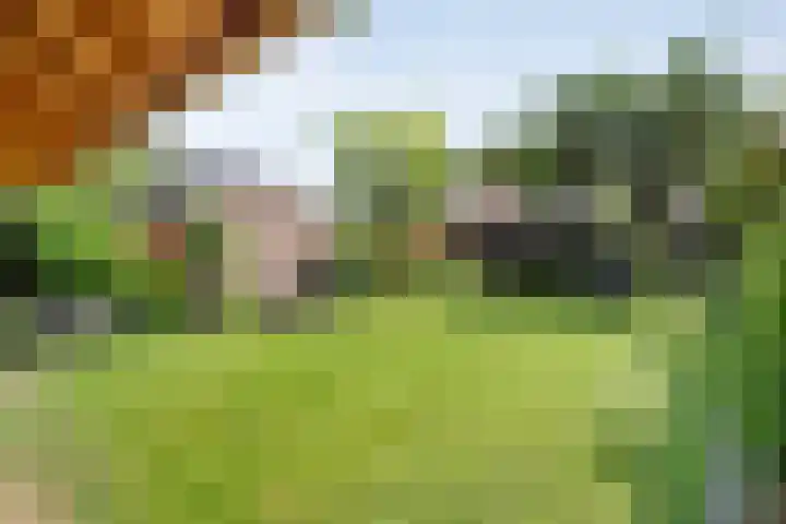 Judith van Marlelaan 21 Dedemsvaart thumbnail 26