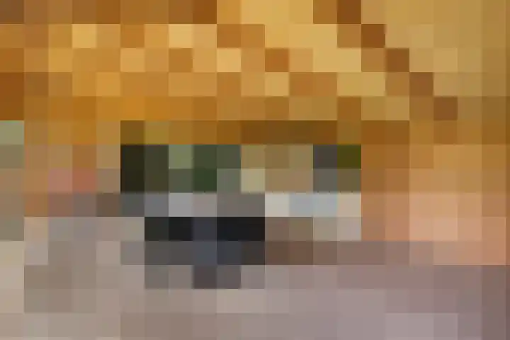 Judith van Marlelaan 21 Dedemsvaart thumbnail 27