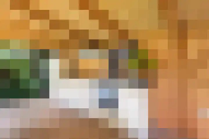 Judith van Marlelaan 21 Dedemsvaart thumbnail 28