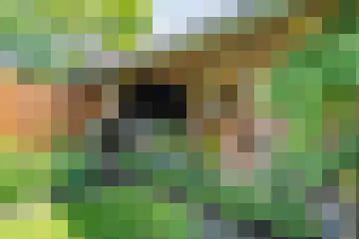 Judith van Marlelaan 21 Dedemsvaart thumbnail 32