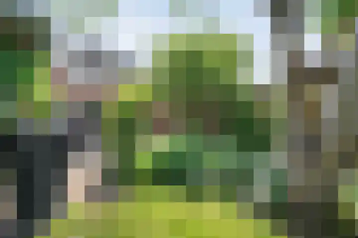 Judith van Marlelaan 21 Dedemsvaart thumbnail 33