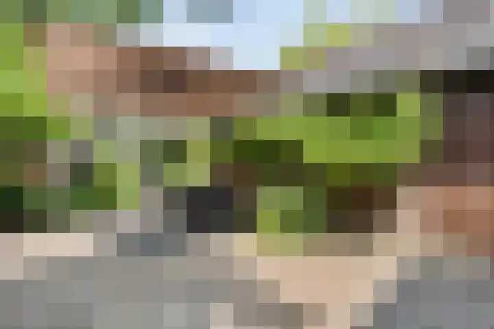 Judith van Marlelaan 21 Dedemsvaart thumbnail 37