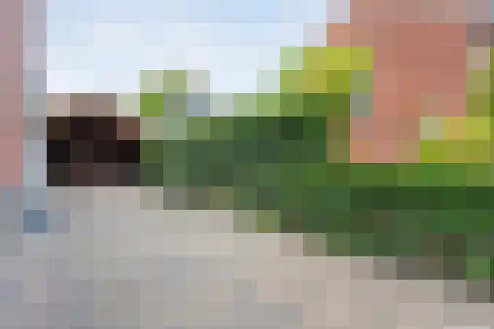 Judith van Marlelaan 21 Dedemsvaart thumbnail 41