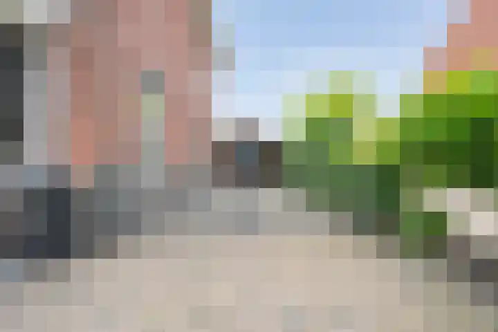 Judith van Marlelaan 21 Dedemsvaart thumbnail 43