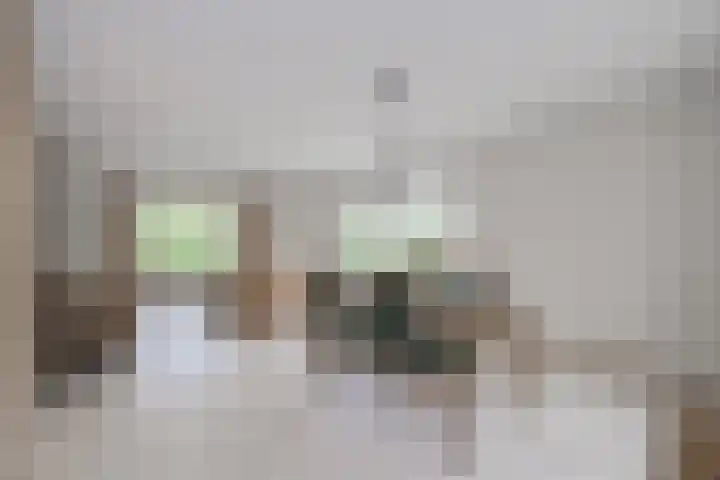Judostraat 15 A Didam thumbnail 10