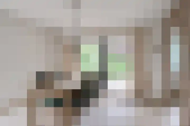 Judostraat 15 A Didam thumbnail 11