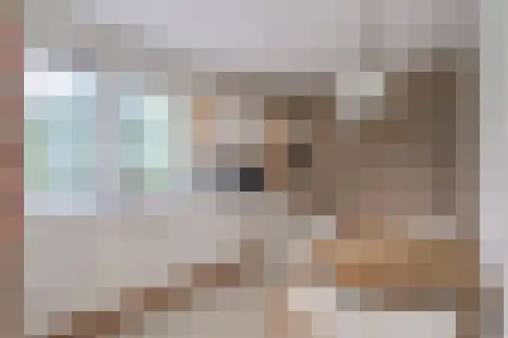 Judostraat 15 A Didam thumbnail 12