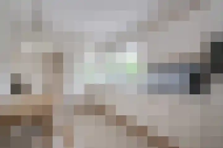 Judostraat 15 A Didam thumbnail 13